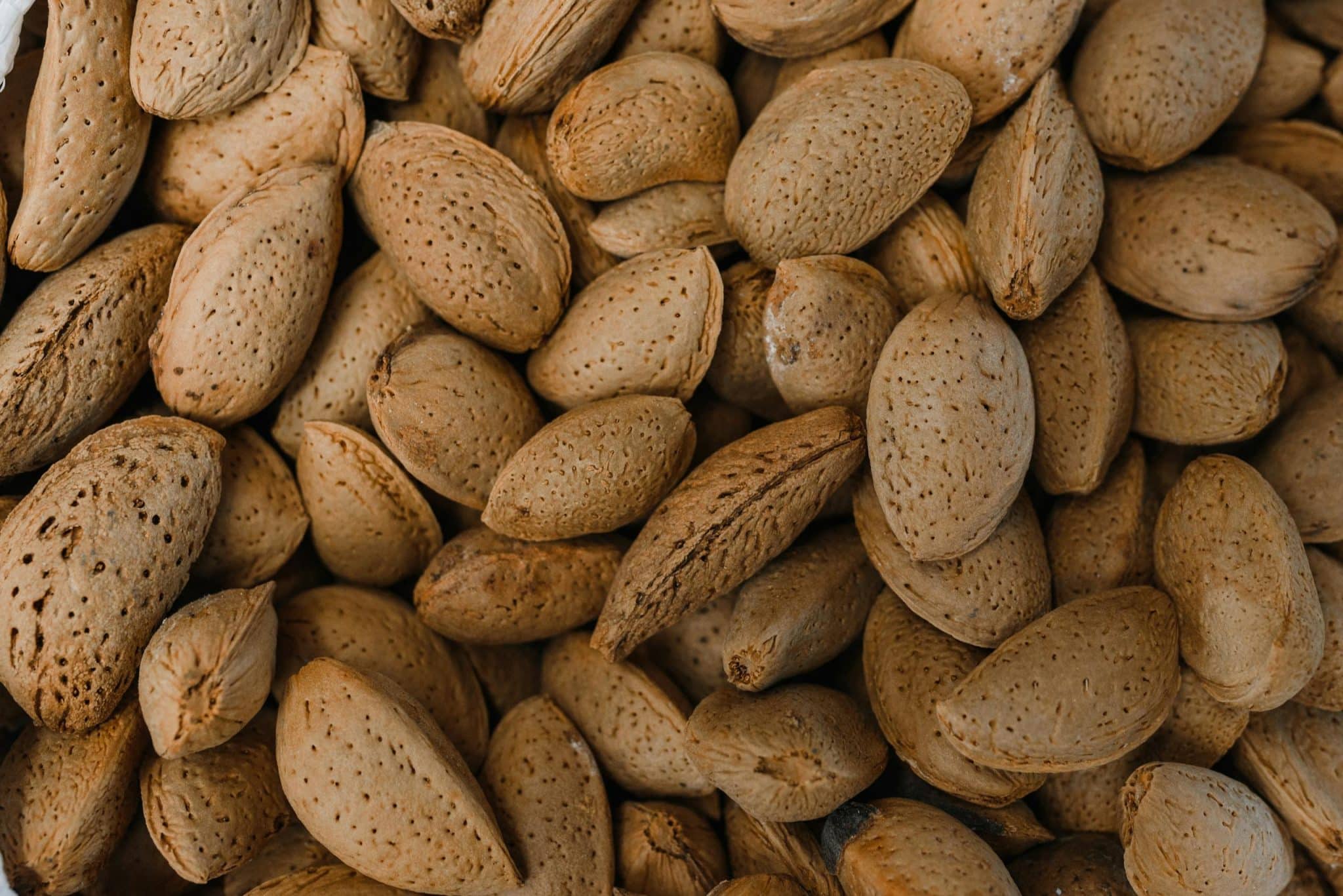 Detailed photograph of raw almonds with shells, highlighting natural texture and organic appeal.