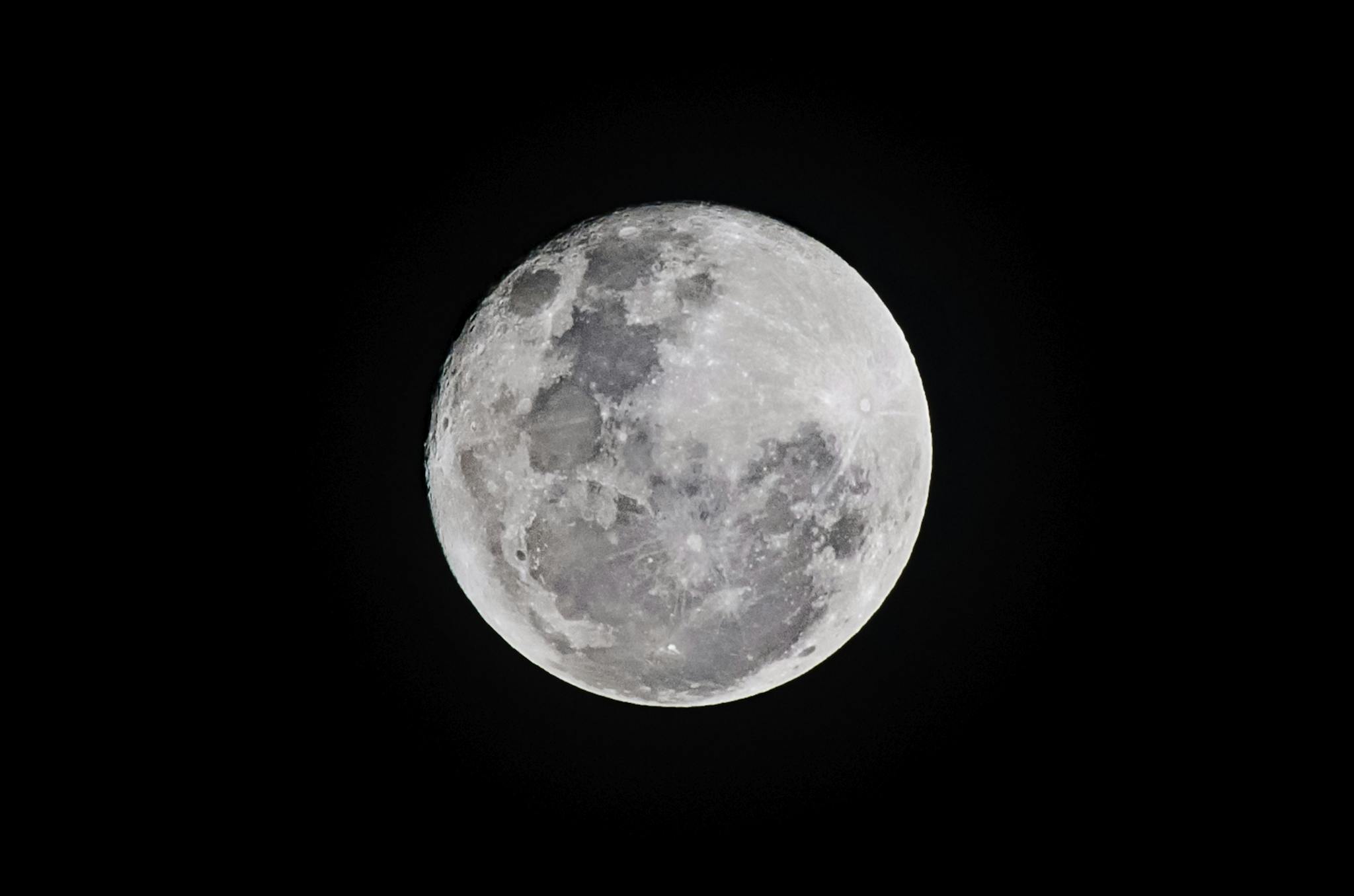 Detailed full moon captured against a black sky, showcasing lunar textures.