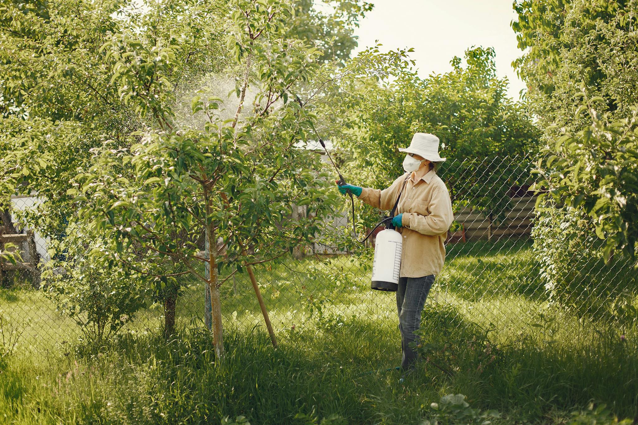 Woman in protective gear spraying pesticides on garden trees with a spray bottle.